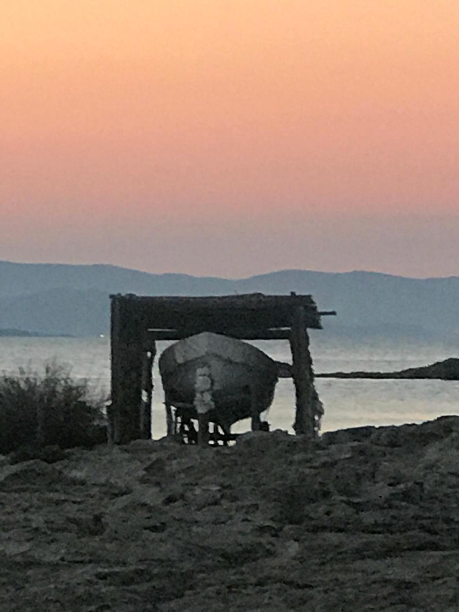 Es Pujols Vista Mare Daire Dış mekan fotoğraf